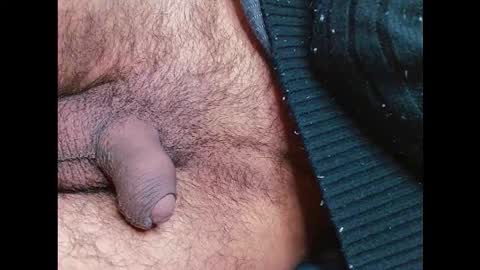 Prince online show from January 2026 11:10:01 PM