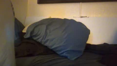 Snapshot of xxxelentdick chatting on March 2026 04:17:02 AM deeeeznutz online show from March 2026 04:17:02 AM