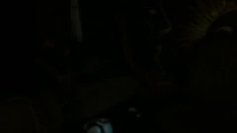 Snapshot of xxxjrstrokesxxx chatting on February 2025 01:52:01 AM xxxjrstrokesxxx online show from February 2025 01:52:01 AM