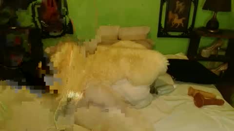 PAMPAM online show from January 2025 12:24:01 PM