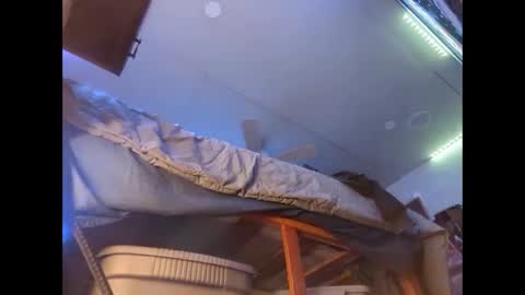 Snapshot of xzbib chatting on December 2024 08:43:01 PM Xzbib online show from December 2024 08:43:01 PM