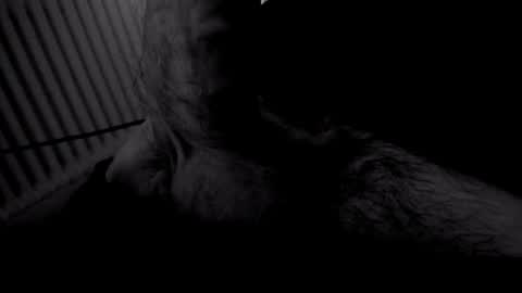 yeasayer online show from November 2025 09:28:01 PM