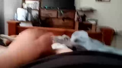 Snapshot of yeet3244 chatting on September 2025 06:48:02 AM yeet3244 online show from September 2025 06:48:02 AM