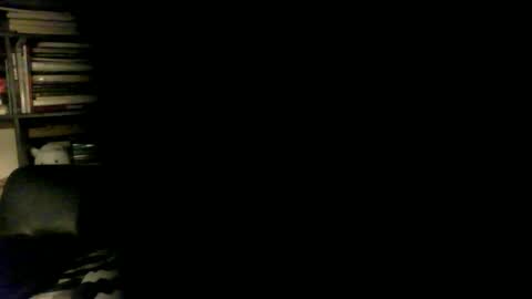 Snapshot of yessex247 chatting on April 2026 01:52:02 AM yessex247 online show from April 2026 01:52:02 AM