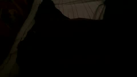 Snapshot of ynno31 chatting on November 2025 05:23:02 AM Giannis online show from November 2025 05:23:02 AM