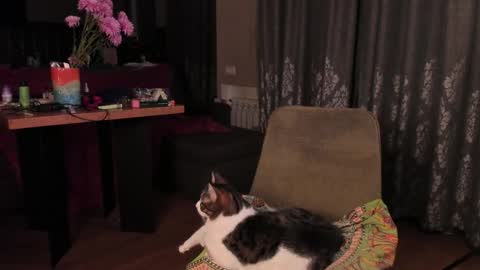 Snapshot of yoga_pizza_420 chatting on November 2025 04:33:02 AM Max online show from November 2025 04:33:02 AM