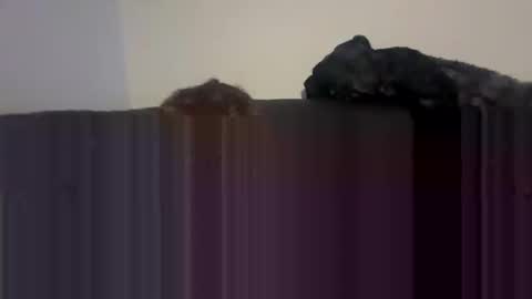 Snapshot of yokyob chatting on April 2026 01:58:02 AM Self fucking fucktoy online show from April 2026 01:58:02 AM