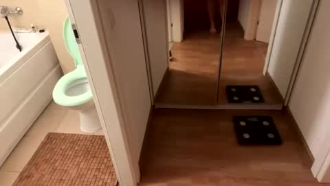 yonise909383 online show from February 2025 12:36:02 AM