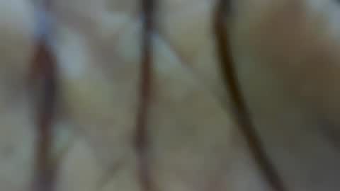 ALEX online show from March 2025 04:19:01 AM