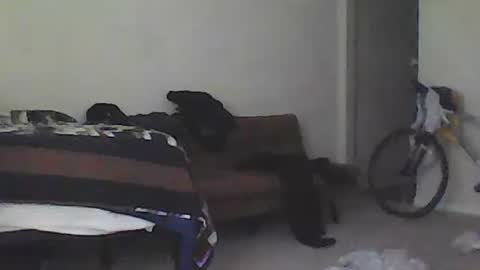 Snapshot of youneverknowimight2 chatting on February 2025 09:37:01 PM kindahorny online show from February 2025 09:37:01 PM