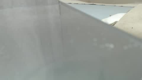 Snapshot of your_guy111 chatting on April 2026 12:15:01 AM your_guy111 online show from April 2026 12:15:01 AM