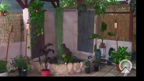 Snapshot of your_king_of_hearts chatting on February 2025 10:26:01 AM Sophiestar online show from February 2025 10:26:01 AM