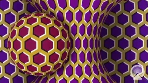 Snapshot of your_king_of_hearts chatting on February 2025 10:41:01 AM Sophiestar online show from February 2025 10:41:01 AM