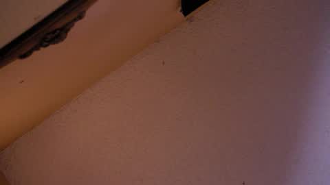 Snapshot of your_king_of_hearts chatting on October 2025 02:58:02 AM Sophiestar online show from October 2025 02:58:02 AM