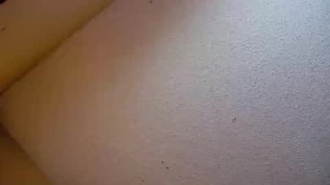 Snapshot of your_king_of_hearts chatting on October 2025 07:14:01 PM Sophiestar online show from October 2025 07:14:01 PM