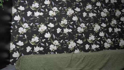 Meri  online show from February 2025 09:15:02 PM