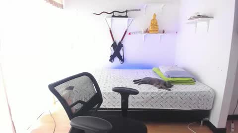 Tao online show from February 2026 03:33:01 PM