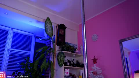 YourBabyPearl online show from January 2025 05:09:02 PM