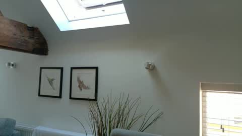 Snapshot of yourcassiexo chatting on April 2026 08:50:01 AM Cassie online show from April 2026 08:50:01 AM