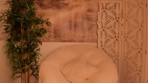 Snapshot of yourmidnightcoffee chatting on January 2025 11:28:01 PM Sarah online show from January 2025 11:28:01 PM