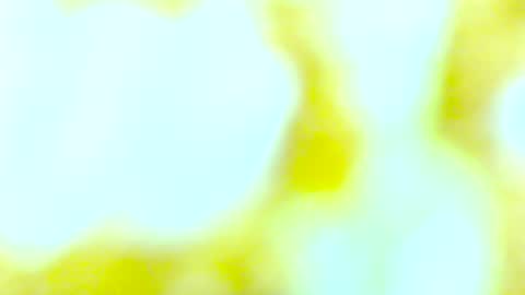 Edging4U online show from October 2025 09:48:01 PM