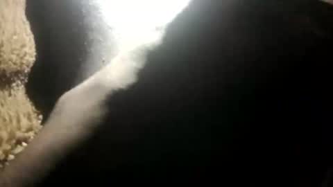 Snapshot of yung_boy42 chatting on November 2025 02:17:02 AM yung_boy42 online show from November 2025 02:17:02 AM