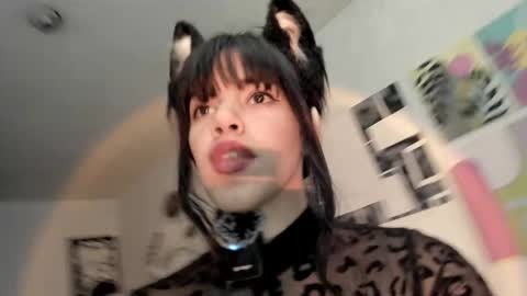 paola online show from November 2025 08:43:01 PM