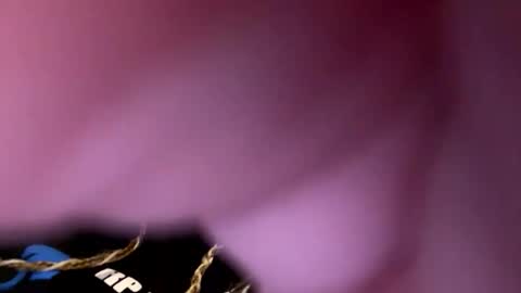 zapxxx69 online show from March 2026 06:28:02 AM