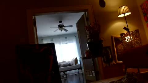 Snapshot of zedlav4 chatting on November 2025 09:50:01 PM zedlav4 online show from November 2025 09:50:01 PM