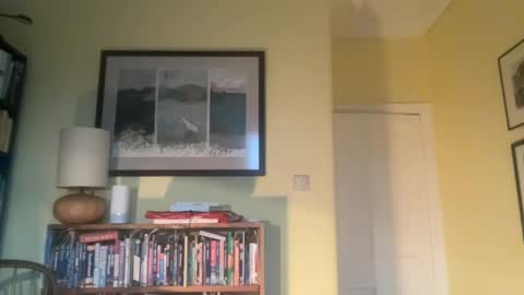 Snapshot of zephr1 chatting on December 2024 02:39:02 PM zephr1 online show from December 2024 02:39:02 PM