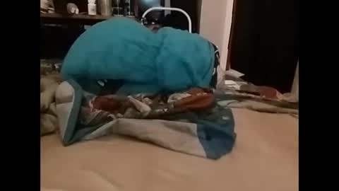 zero online show from December 2024 03:36:02 PM