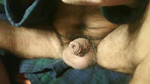 zevioo77 online show from December 2024 08:16:02 AM