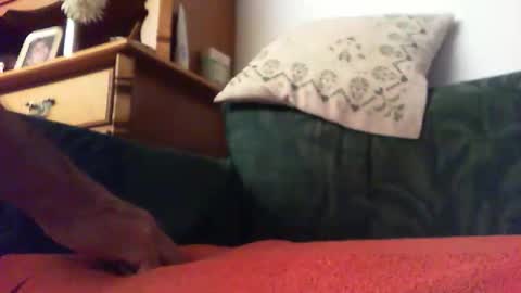 zevioo77 online show from September 2025 08:30:02 PM