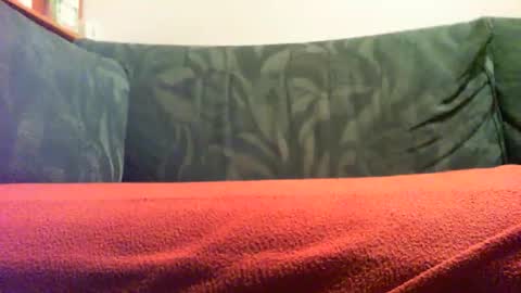 zevioo77 online show from September 2025 08:11:02 PM