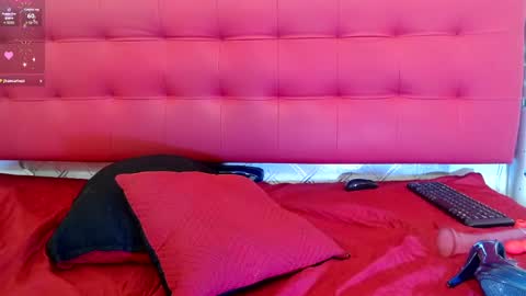 ZHAMIRA  ANDRES online show from February 2025 12:03:01 AM