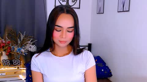 Zia online show from February 2026 02:46:01 PM