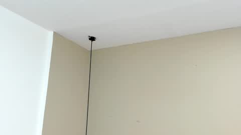 zia online show from September 2025 11:10:02 AM