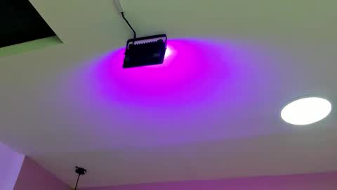 zia online show from September 2025 11:23:02 AM