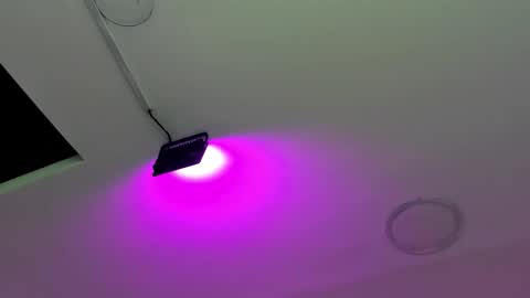 zia online show from October 2025 12:02:02 PM