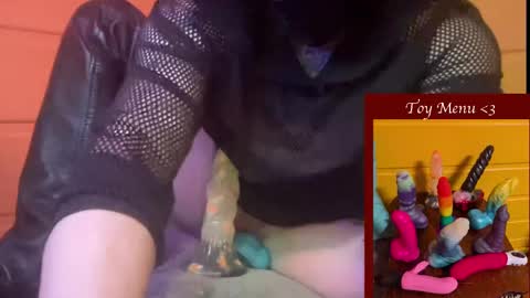 Snapshot of ziggystarpup chatting on January 2025 04:36:02 AM Ziggy online show from January 2025 04:36:02 AM