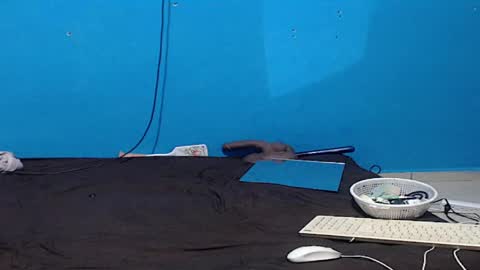 Snapshot of zoe_bbw chatting on April 2026 06:16:02 PM Zoe online show from April 2026 06:16:02 PM