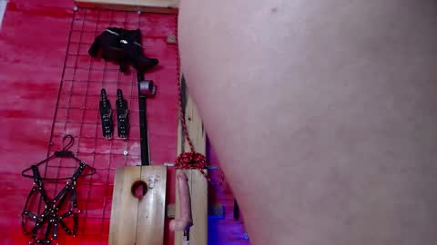 Snapshot of zoe_ferrer7 chatting on April 2026 09:04:02 PM zoe_ferrer7 online show from April 2026 09:04:02 PM