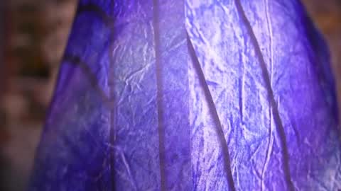 Snapshot of zoey_fox_ chatting on April 2026 11:27:02 PM zoey fox online show from April 2026 11:27:02 PM