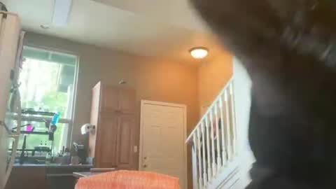 Zoeydanner online show from February 2026 08:48:02 PM