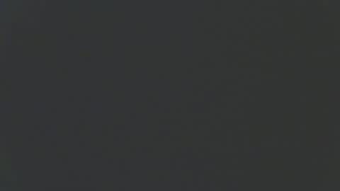 zomma44 online show from March 2026 02:28:01 AM