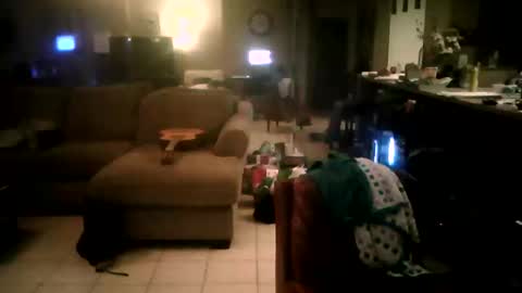 Snapshot of zooroxxx101 chatting on April 2026 08:06:01 AM zooroxxx101 online show from April 2026 08:06:01 AM