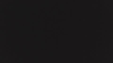 ZURY   online show from October 2025 11:28:01 AM