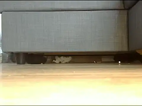 Snapshot of Squirtlady38 chatting on February 2025 01:26:02 PM Squirtlady38 online show from February 2025 01:26:02 PM