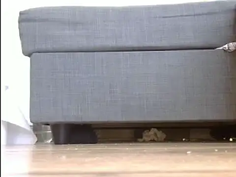 Snapshot of Squirtlady38 chatting on March 2025 10:54:02 AM Squirtlady38 online show from March 2025 10:54:02 AM