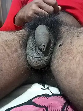 Nishu12356g online show from January 2025 07:53:01 PM